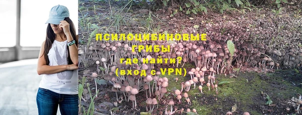 стаф Строитель