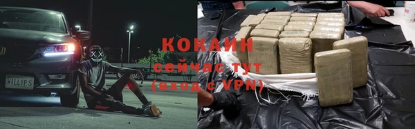 дмт Богородск