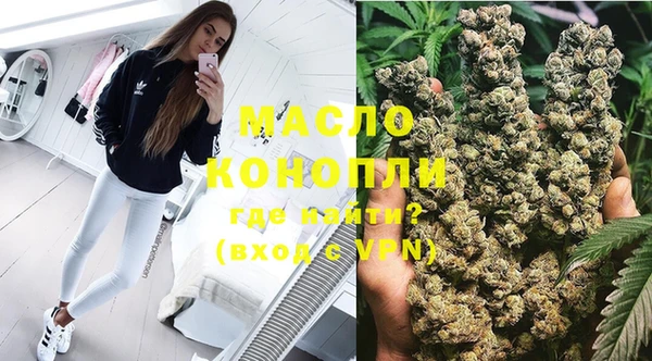 дмт Богородск