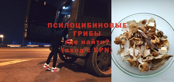 соль курить ск Бородино